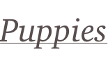 shapeimage_1_link_3
